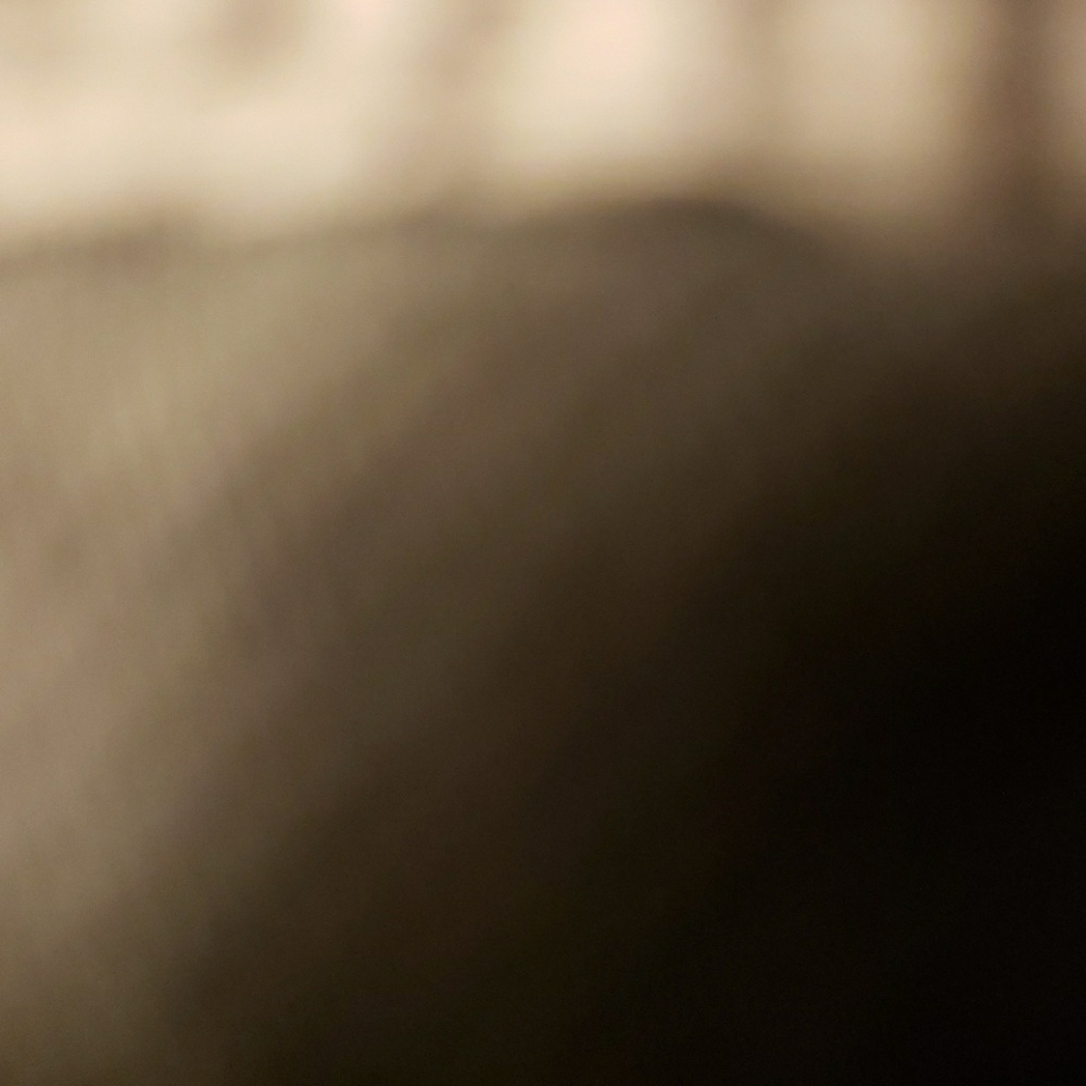 Meet your Posher, Norma